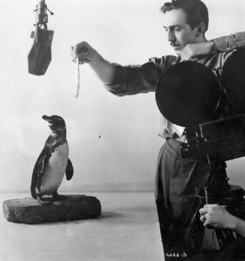 Walt Disney - Penguin